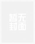 带着小猫闯天下